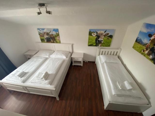 Hotel Wildschuetz Basic Altmünster Zewnętrze zdjęcie